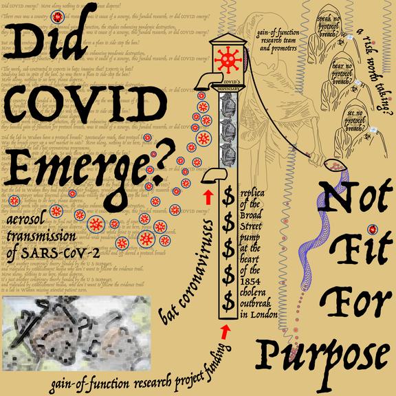 Did COVID Emerge?